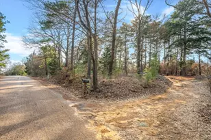 3 77 Acres County Road 3520, Brownsboro, TX 75756 - Photo 1