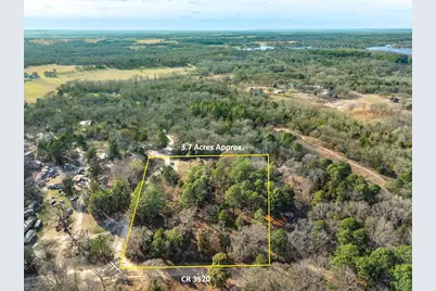 3.77 Acres County Road 3520, Brownsboro, TX 75756 - Photo 3