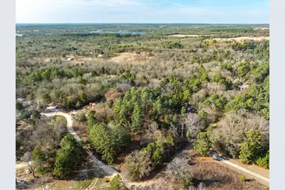 3.77 Acres County Road 3520, Brownsboro, TX 75756 - Photo 5