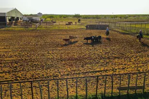 201 FM1750, Abilene, TX 79602 - Photo 29