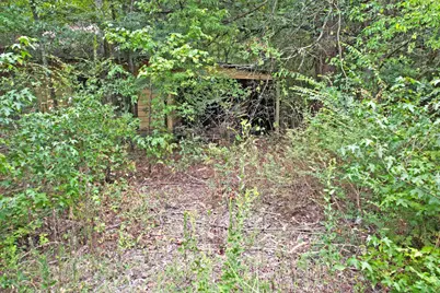 Tbd Fm 69, Quitman, TX 75783 - Photo 15