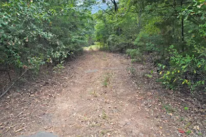 Tbd Fm 69, Quitman, TX 75783 - Photo 7