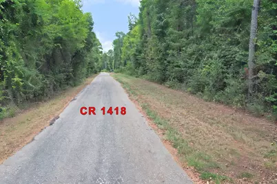 Tbd Fm 69, Quitman, TX 75783 - Photo 3