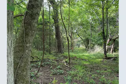 Tbd County Road 1130, Cumby, TX 75453 - Photo 5