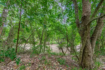 2811 River View Trail, Granbury, TX 76048 - Photo 3