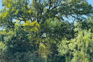 14057 Sandy Oaks Dr, Whitney, TX 76692 - Photo 1