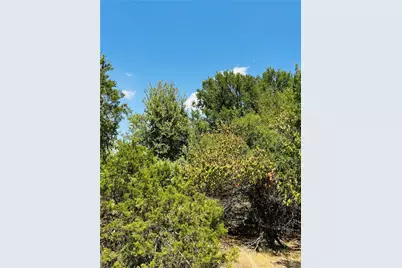 14057 Sandy Oaks Drive, Whitney, TX 76692 - Photo 5