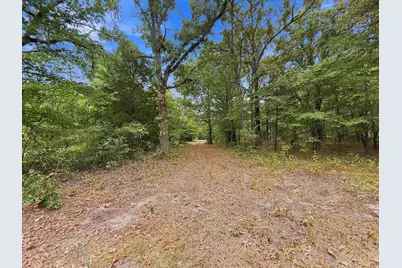 9696 Fm 515, Alba, TX 75410 - Photo 19