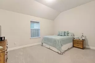 509 Lake Livingston Trail, McKinney, TX 75071 - Photo 19