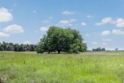 476 Lcr 640 (+/-31.50 Acres), Groesbeck, TX 76642 - Photo 19