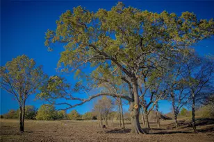 Tract 4 Lazy E Rd, Saint Jo, TX 76265 - Photo 1