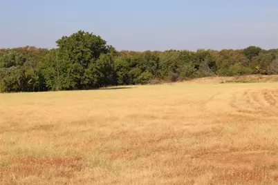 20Ac Cr County Road 3440 Road, Paradise, TX 76073 - Photo 3