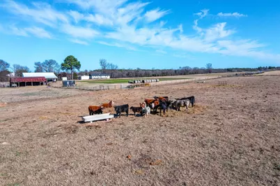8612 Fm 1616, Athens, TX 75752 - Photo 33