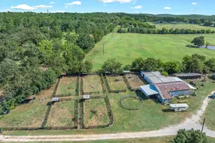 10815 FM 315, Poynor, TX 75782 - Photo 7