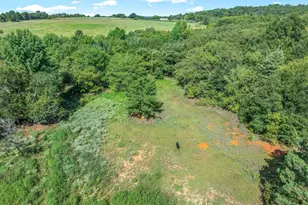 10815 FM 315, Poynor, TX 75782 - Photo 17