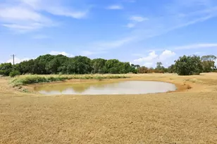 1350 Co Rd 4040, Ector, TX 75479 - Photo 35