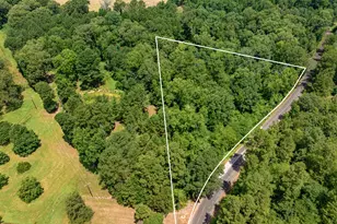 00 Hydrangea Rd, Ore City, TX 75683 - Photo 1