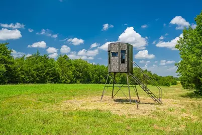 0 County Road 3573, Dike, TX 75437 - Photo 9