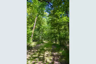 0 County Road 3573, Dike, TX 75437 - Photo 19