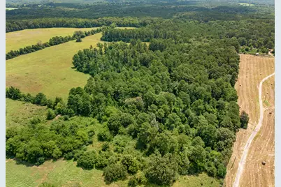 8468 Hydrangea Road, Ore City, TX 75683 - Photo 15