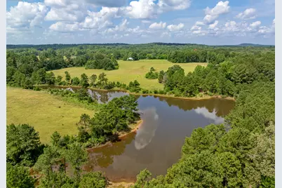 8468 Hydrangea Road, Ore City, TX 75683 - Photo 11