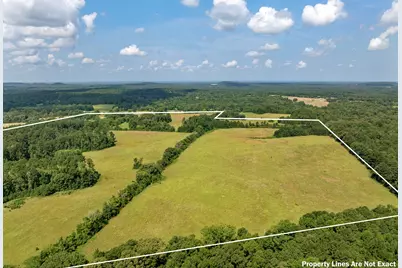 8468 Hydrangea Road, Ore City, TX 75683 - Photo 3