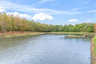 407 Vz County Road 1711, Grand Saline, TX 75140 - Photo 31