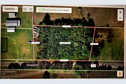 Lot1 County Road 1076, Farmersville, TX 75442 - Photo 3