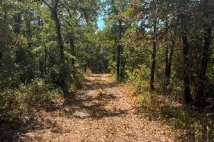 19 09 Ac N Mason, Perrin, TX 78486 - Photo 1