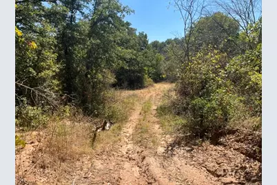 19.09 Ac N Mason, Perrin, TX 78486 - Photo 7