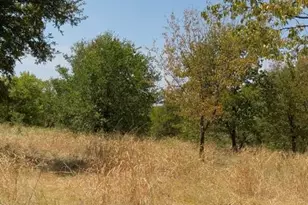 103235 Hillside Cir, Lone Oak, TX 75453 - Photo 1