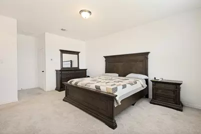 513 Waterhouse Lake Drive, Anna, TX 75409 - Photo 11