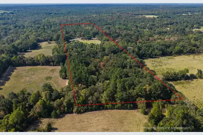 4475 County Road 3800, Athens, TX 75752 - Photo 3