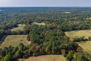 4475 Co Rd 3800, Athens, TX 75752 - Photo 3
