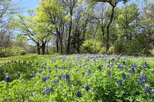 6239-B Fm 879, Ennis, TX 75119 - Photo 39