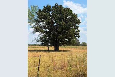 [Address not provided], Emory, TX 75440 - Photo 3