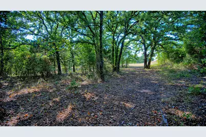 384 Red Oak Hills Road, Nocona, TX 76255 - Photo 21