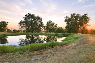 10381 FM512, Wolfe City, TX 75496 - Photo 5