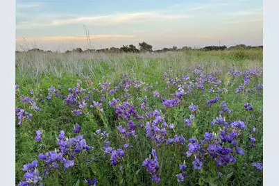 Tbd County Road 4120, Meridian, TX 76665 - Photo 15