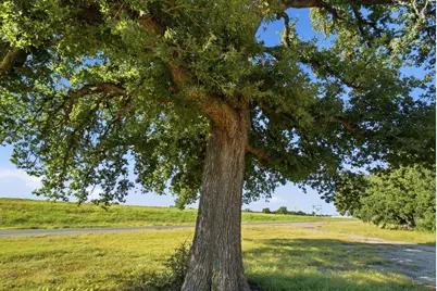 87671 Ih 20 W, Santo, TX 76472 - Photo 5