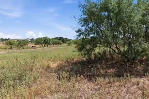 126 Common Wy, Boyd, TX 76023 - Photo 25