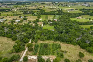 1833 Dr Sanders Rd, Cross Roads, TX 76227 - Photo 39