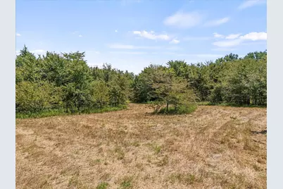 883 Fm 1653, Ben Wheeler, TX 75754 - Photo 11