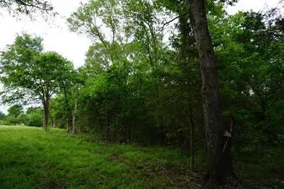 11919 County Road 1200, Malakoff, TX 75148 - Photo 29