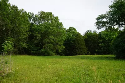 11919 County Road 1200, Malakoff, TX 75148 - Photo 7