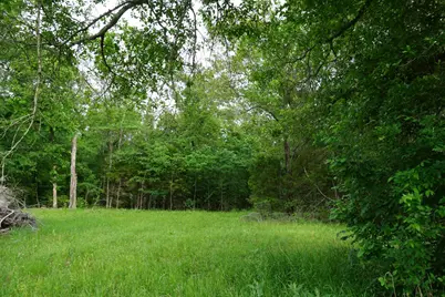 11919 County Road 1200, Malakoff, TX 75148 - Photo 27