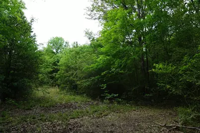 11919 County Road 1200, Malakoff, TX 75148 - Photo 13