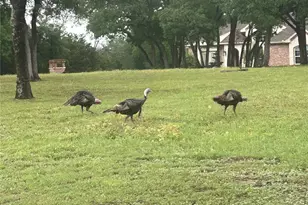 700 Lost Hunters, China Spring, TX 76633 - Photo 11