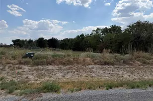Lot 4 County Road 1110, Farmersville, TX 75442 - Photo 1
