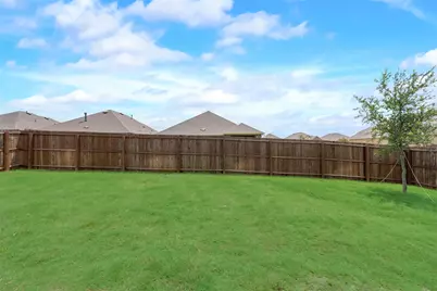 11104 Canyon Mine Drive, Aubrey, TX 76227 - Photo 21
